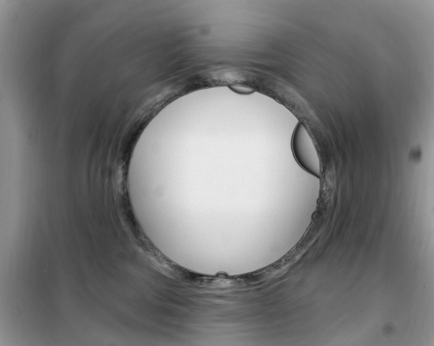 X0000102350330200808010941