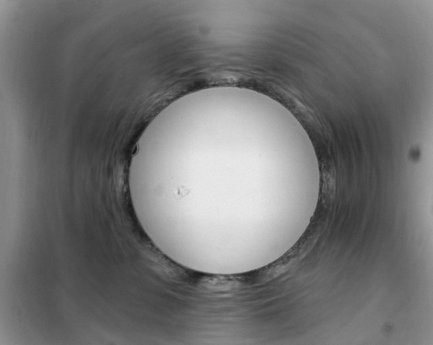 X0000102350331200808010941
