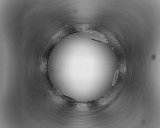 X0000102350332200808010941