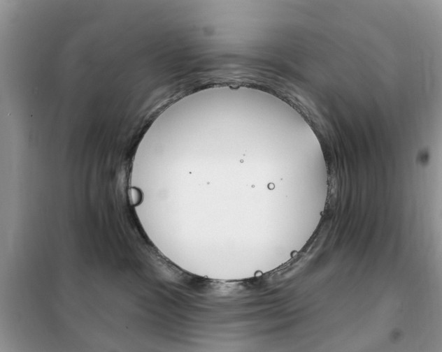 X0000102350333200808010941