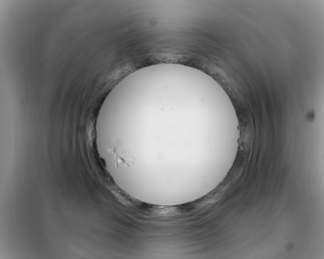X0000102350334200808010941