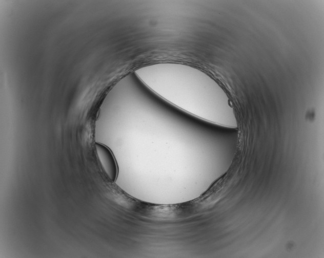 X0000102350335200808010941