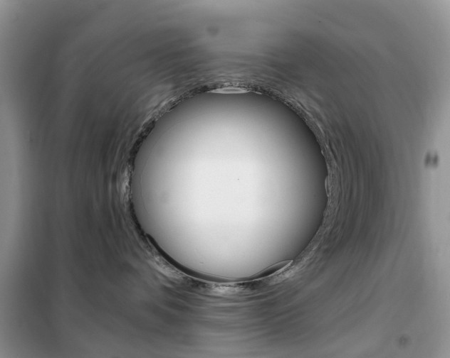 X0000102350336200808010941