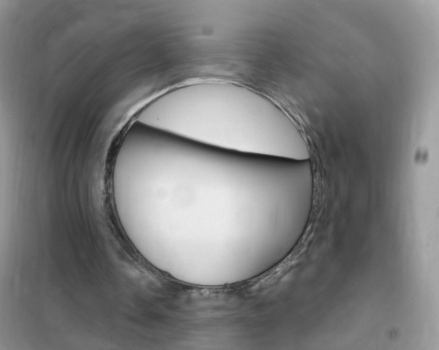 X0000102350338200808010940
