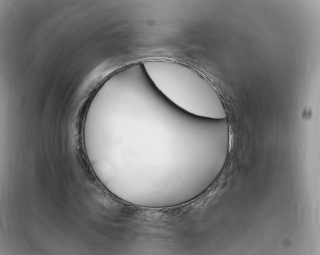 X0000102350339200808010940
