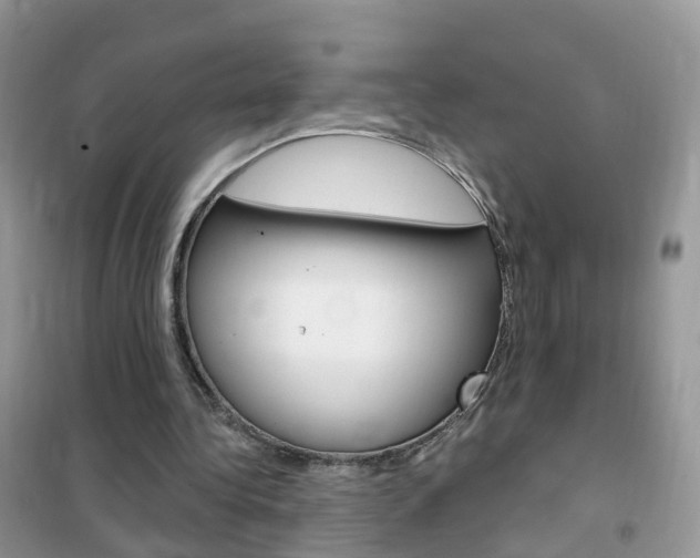 X0000102350340200808010940