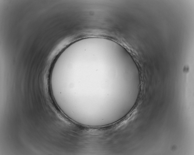 X0000102350341200808010941