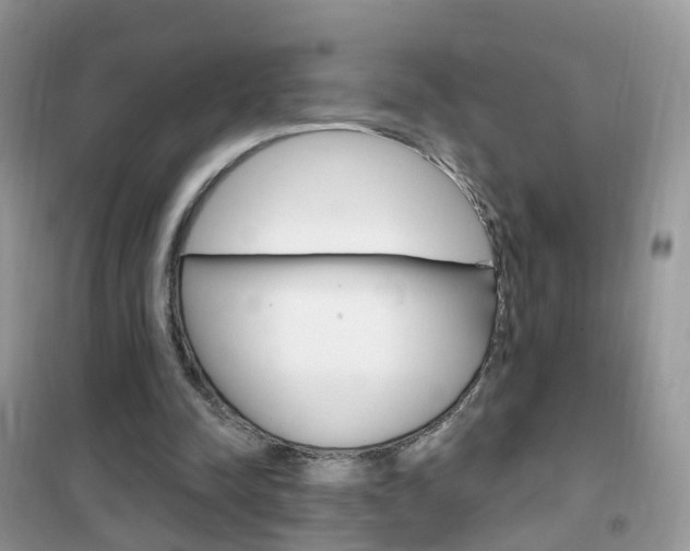 X0000102350342200808010941