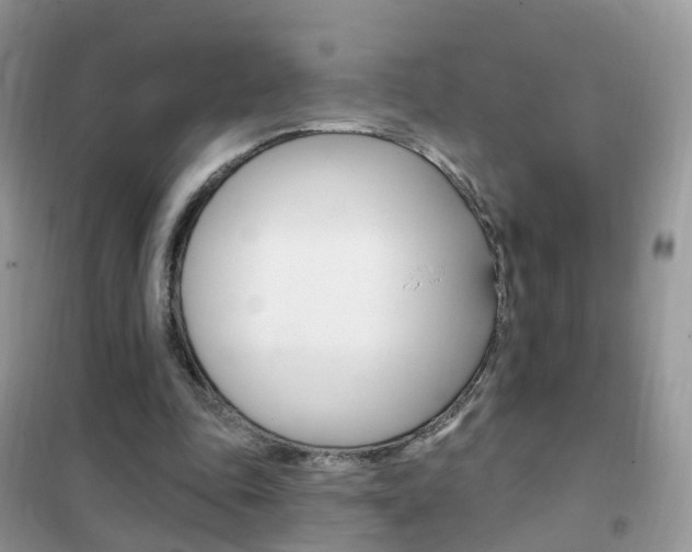 X0000102350343200808010941