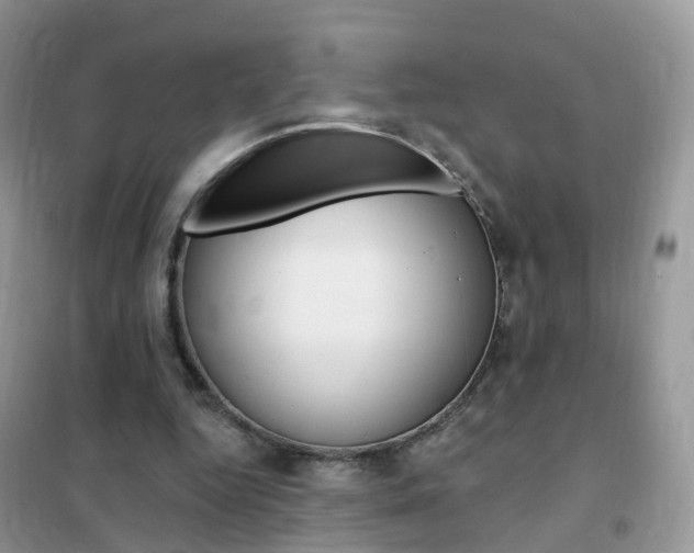 X0000102350344200808010941