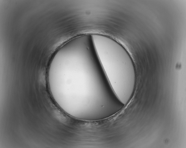 X0000102350345200808010941