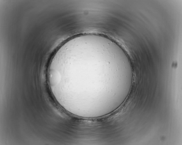 X0000102350347200808010941