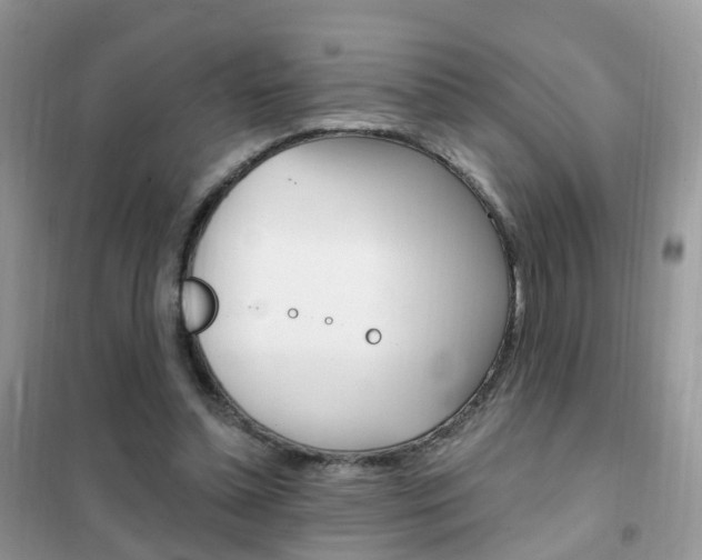 X0000102350348200808010941