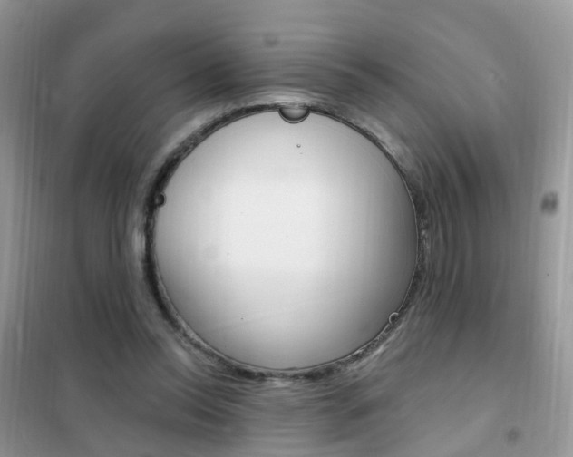 X0000102350350200808010941