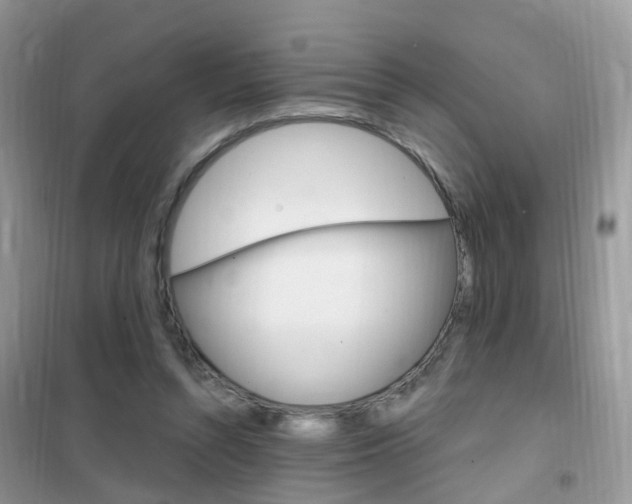 X0000102350352200808010941
