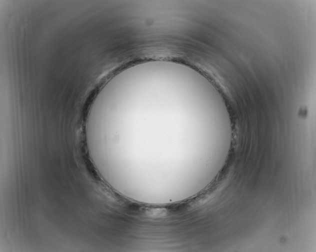 X0000102350355200808010941