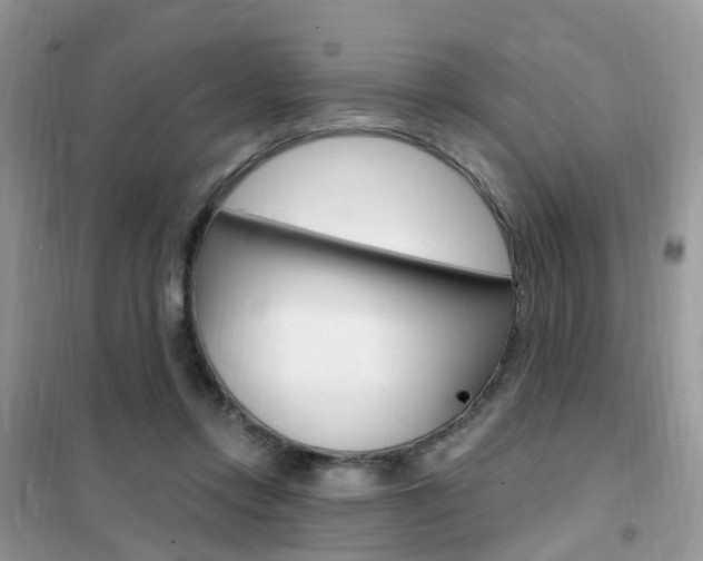 X0000102350358200808010941