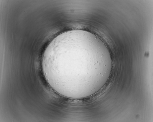 X0000102350359200808010941