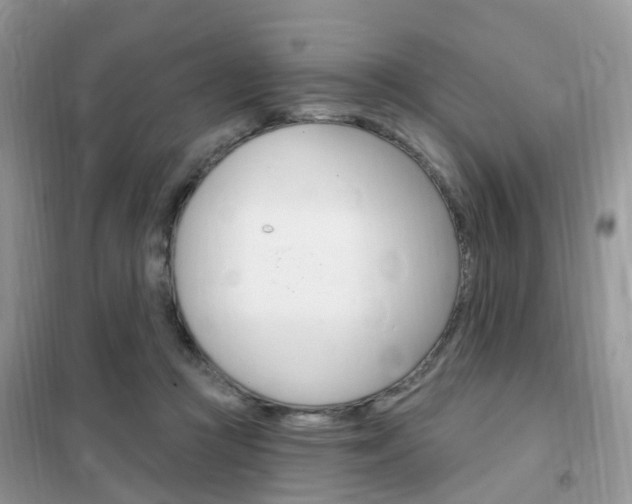 X0000102350361200808010941