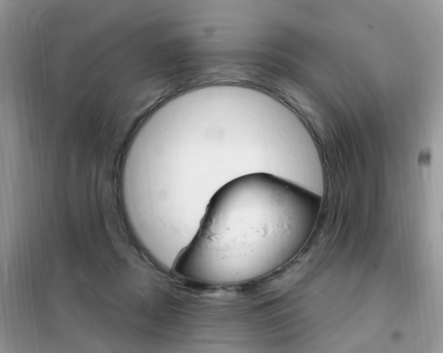 X0000102350362200808010941