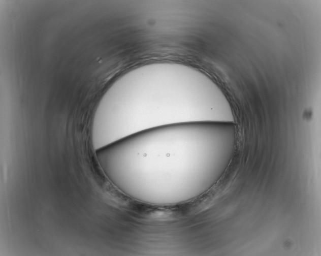 X0000102350364200808010941