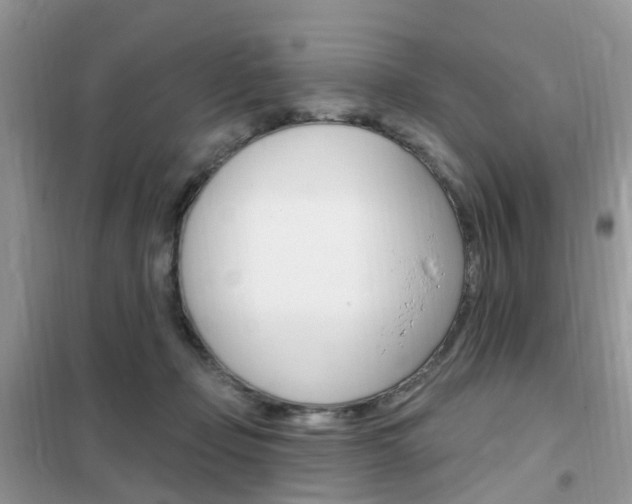 X0000102350365200808010941