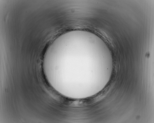X0000102350366200808010941