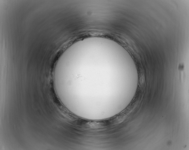 X0000102350367200808010941