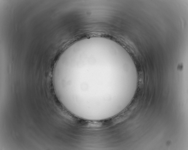 X0000102350369200808010941