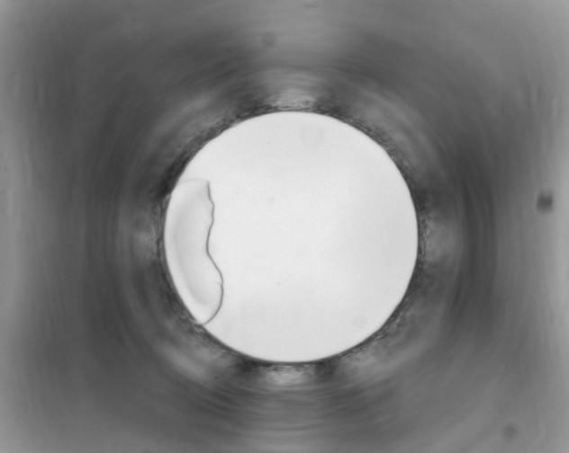 X0000102350370200808010941