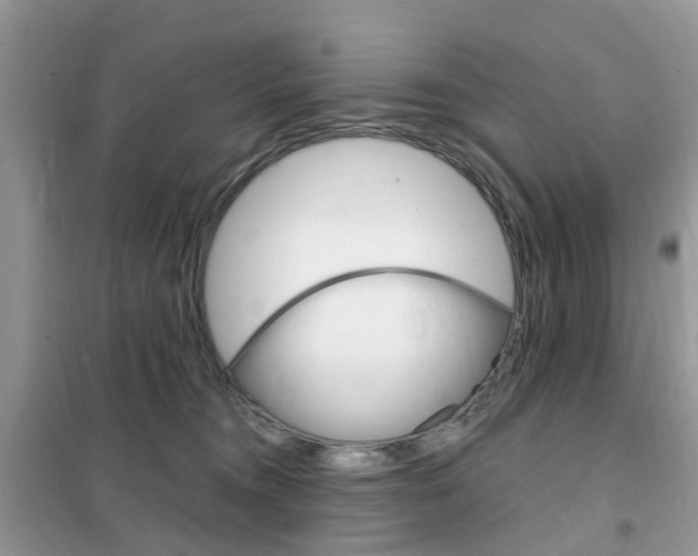 X0000102350372200808010941