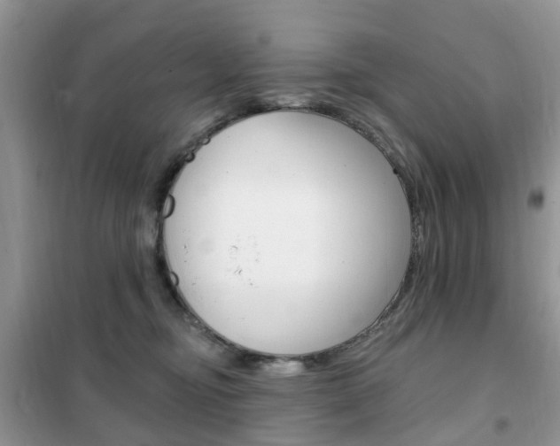 X0000102350374200808010941