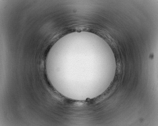 X0000102350375200808010941