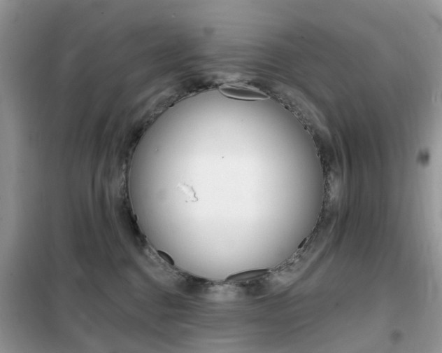 X0000102350376200808010941