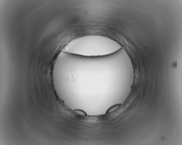 X0000102350377200808010941
