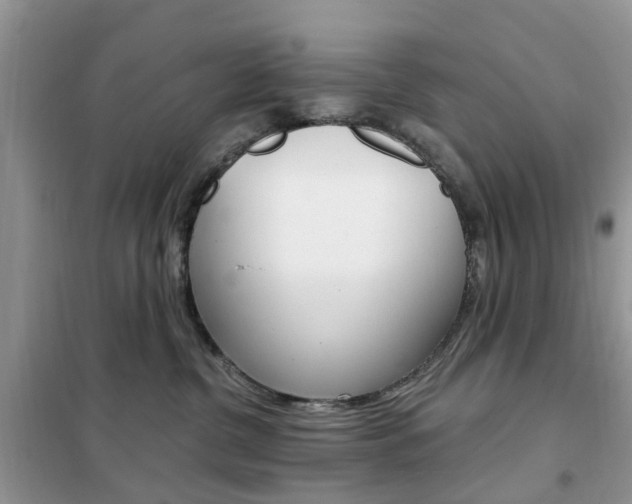 X0000102350380200808010941