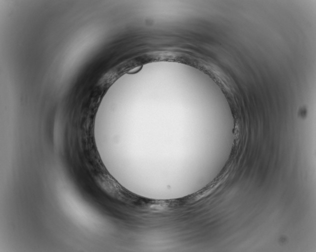 X0000102350381200808010941
