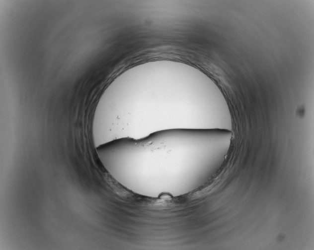 X0000102350382200808010941