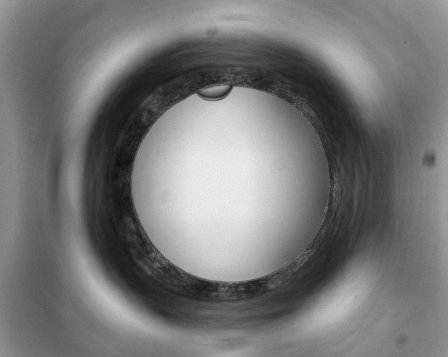 X0000102350383200808010941