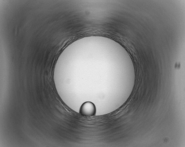 X0000102350384200808010941