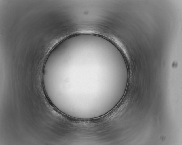 X0000102350385200808010940