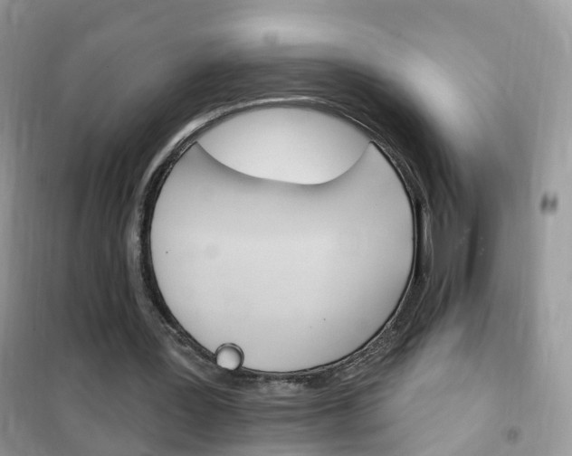 X0000102350387200808010940