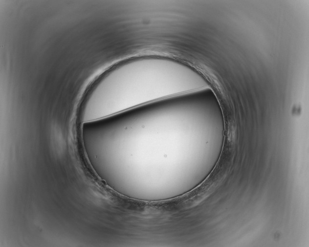 X0000102350388200808010940