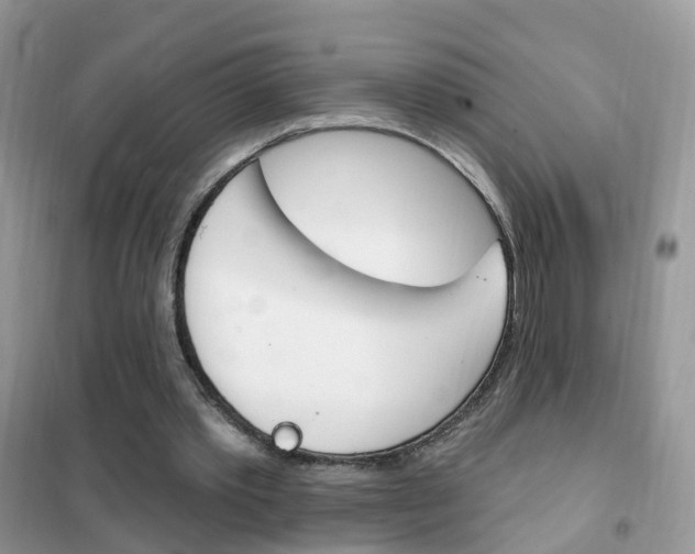 X0000102350389200808010940