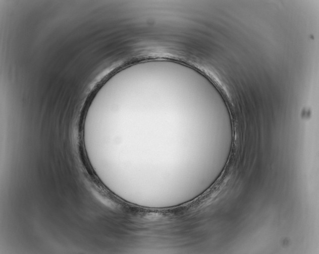X0000102350390200808010940