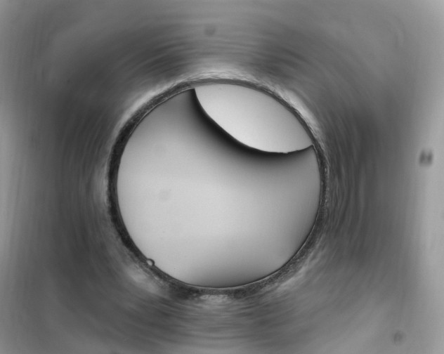 X0000102350391200808010940