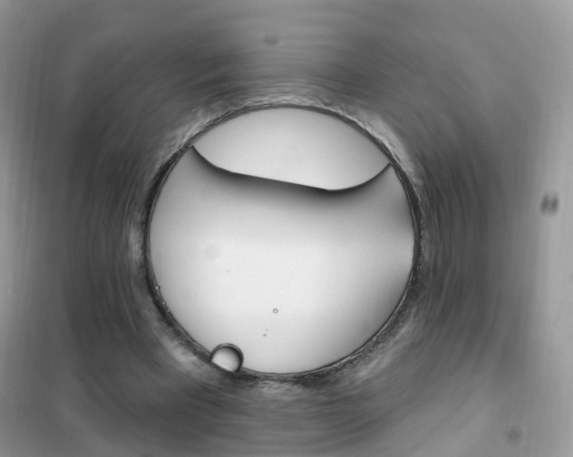 X0000102350393200808010940
