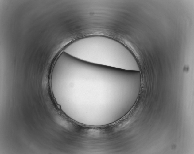 X0000102350394200808010940