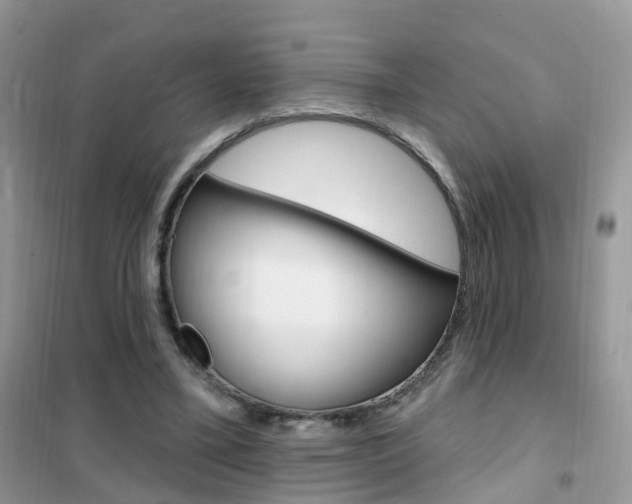 X0000102350395200808010940