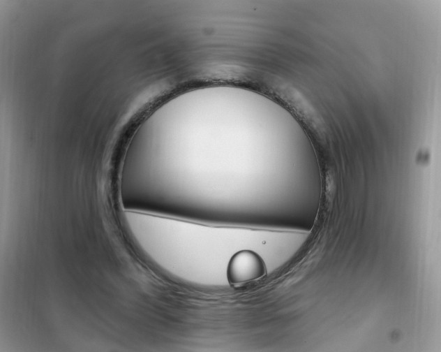 X0000102350396200808010940